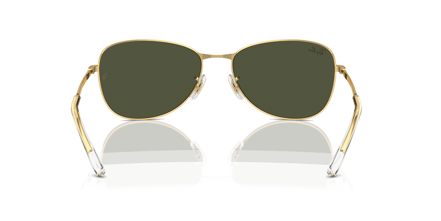 [Green Lenses, Polished Arista Gold Frame]