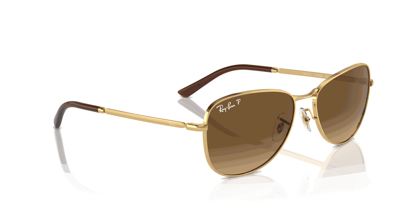 [Brown Lenses, Polished Arista Gold Frame]