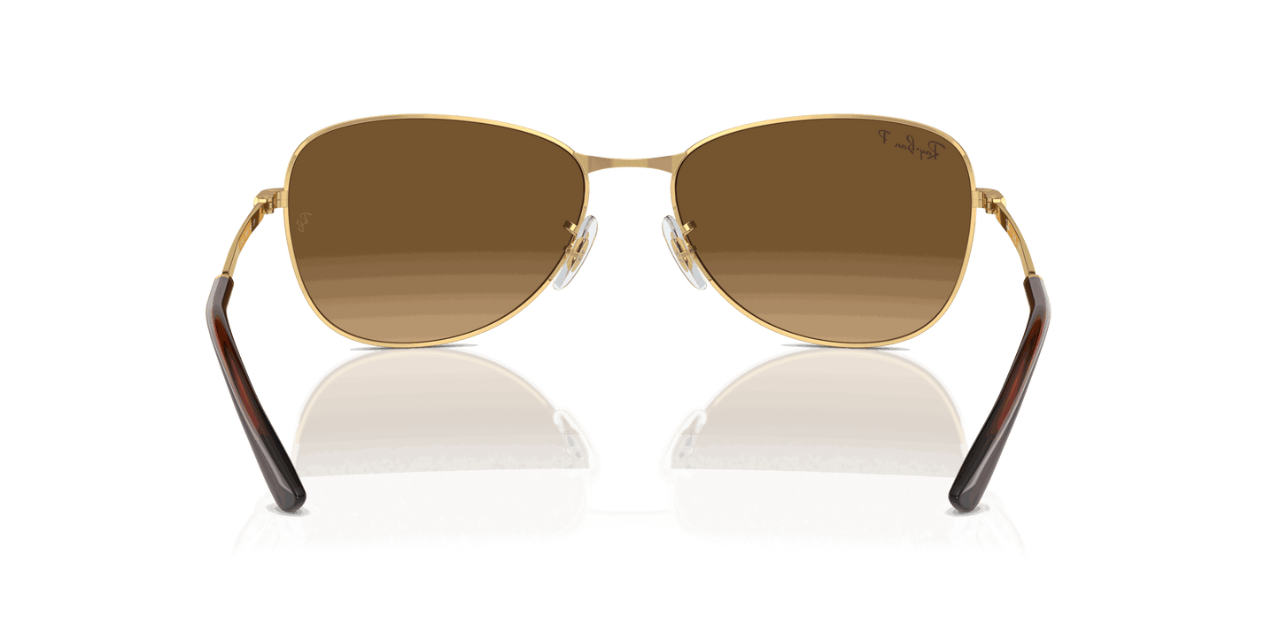[Brown Lenses, Polished Arista Gold Frame]