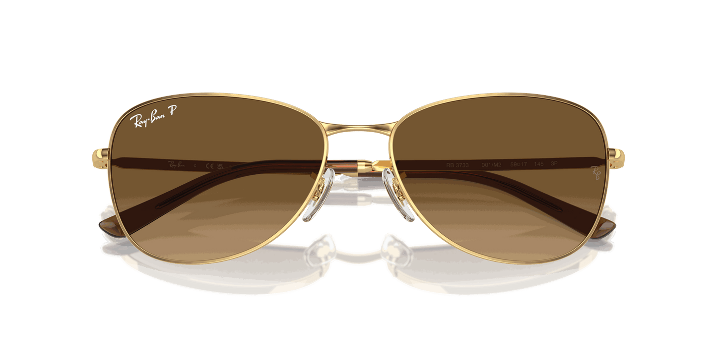 [Brown Lenses, Polished Arista Gold Frame]