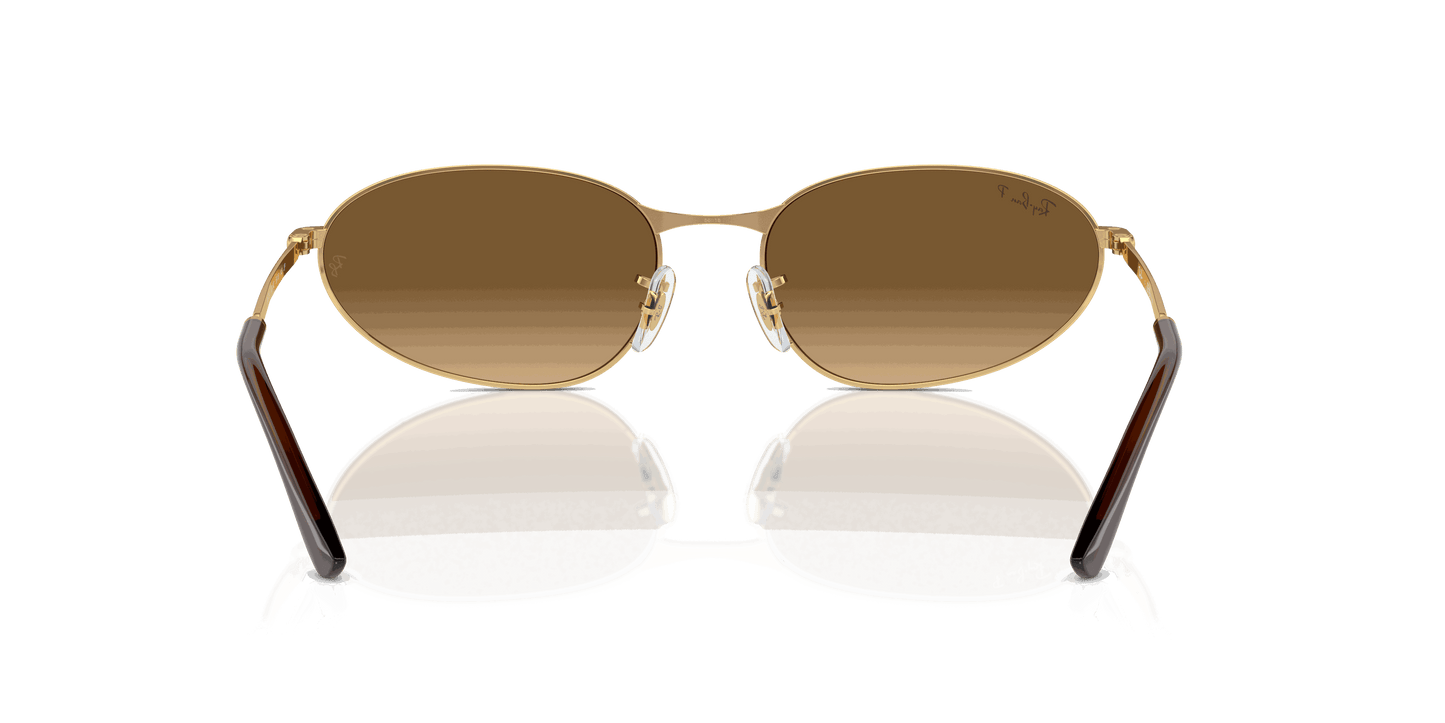[Brown Lenses, Polished Arista Gold Frame]