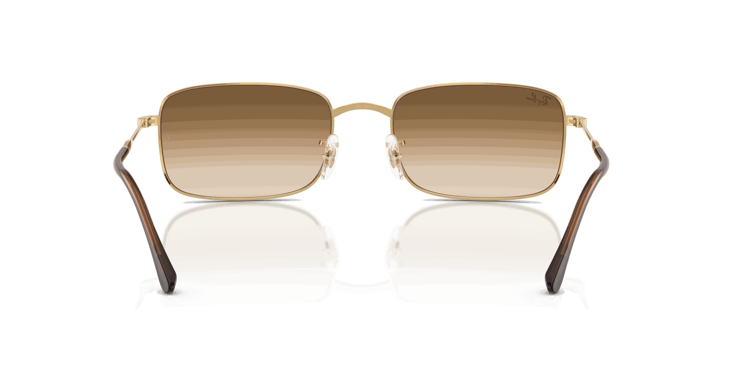 [Clear Gradient Brown Lenses, Polished Arista Gold Frame]