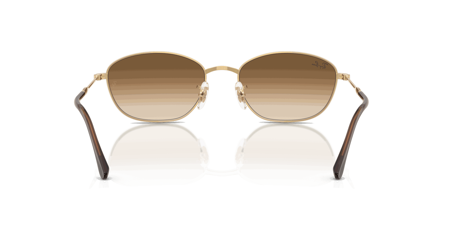 [Clear Gradient Brown Lenses, Polished Arista Gold Frame]
