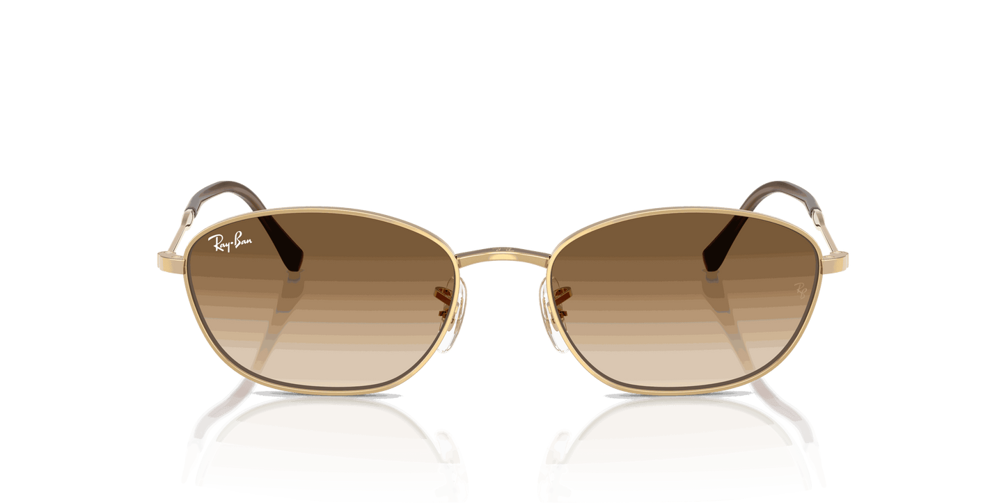 [Clear Gradient Brown Lenses, Polished Arista Gold Frame]