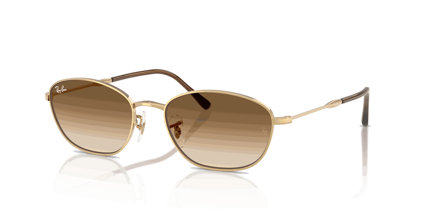 [Clear Gradient Brown Lenses, Polished Arista Gold Frame]