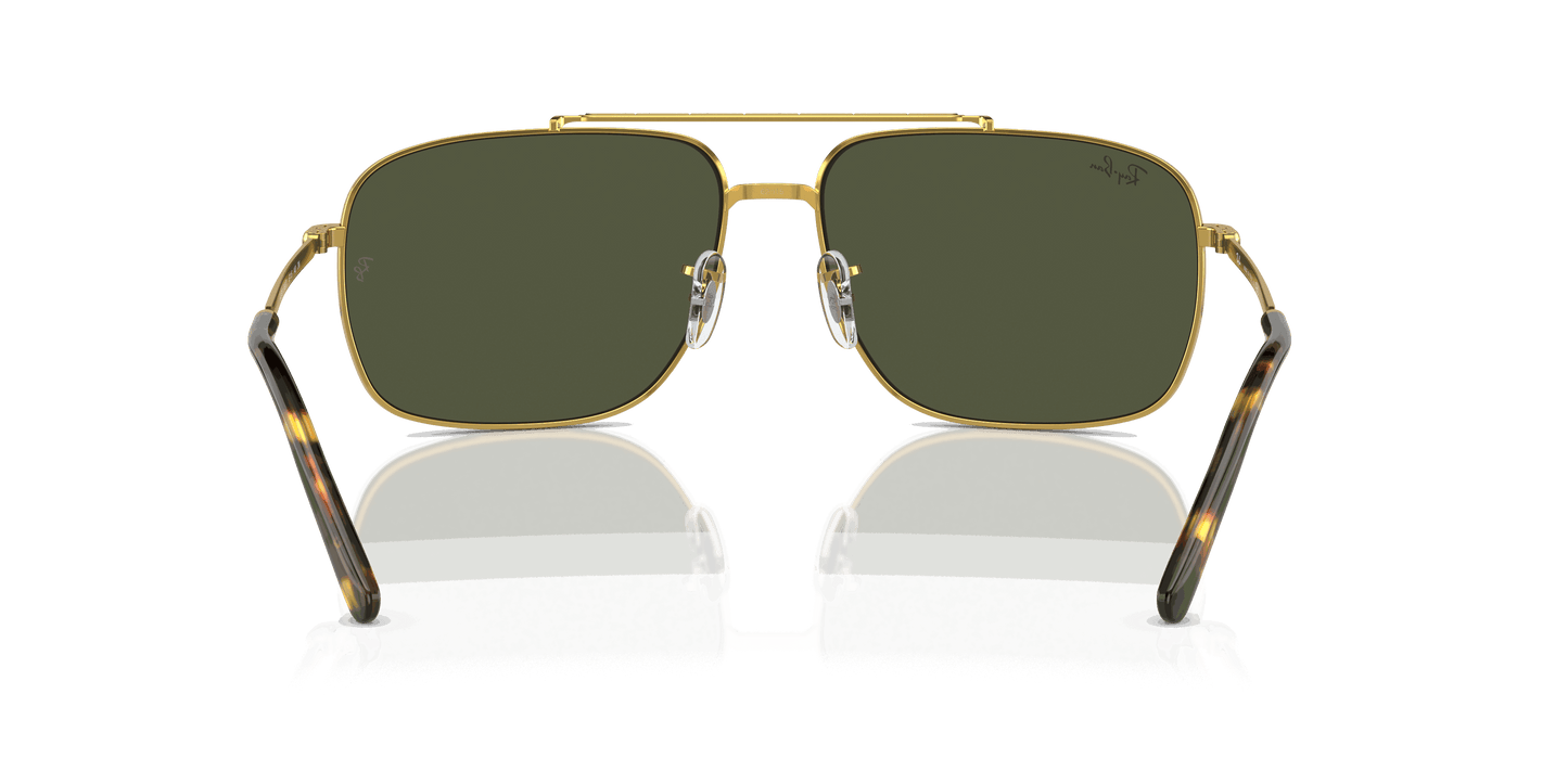 [Green Lenses, Polished Gold Frame]