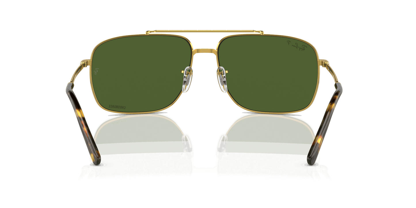 [Dark Green Lenses, Polished Gold Frame]