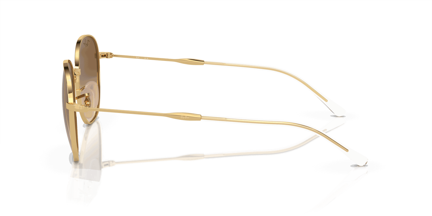 [Light Brown Lenses, Polished Arista Gold Frame]