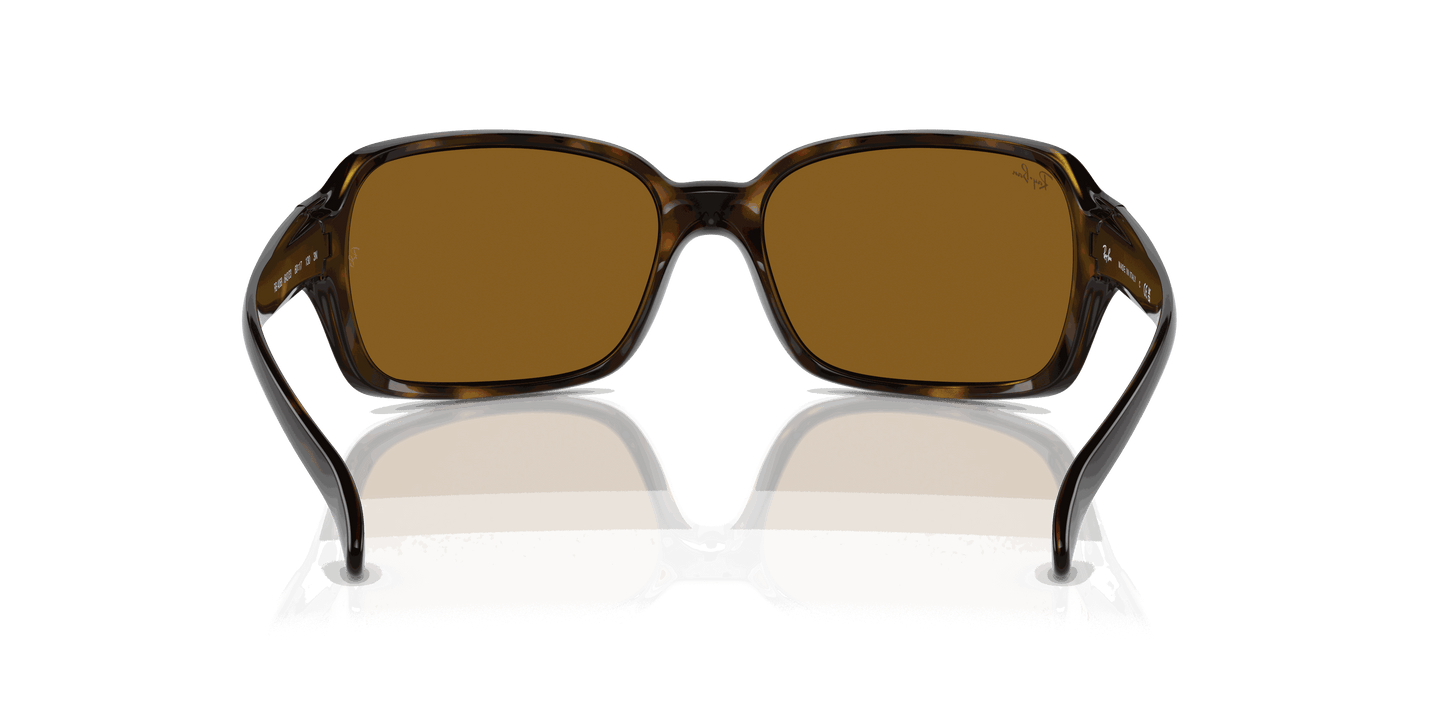 [Brown Lenses, Polished Havana Frame]