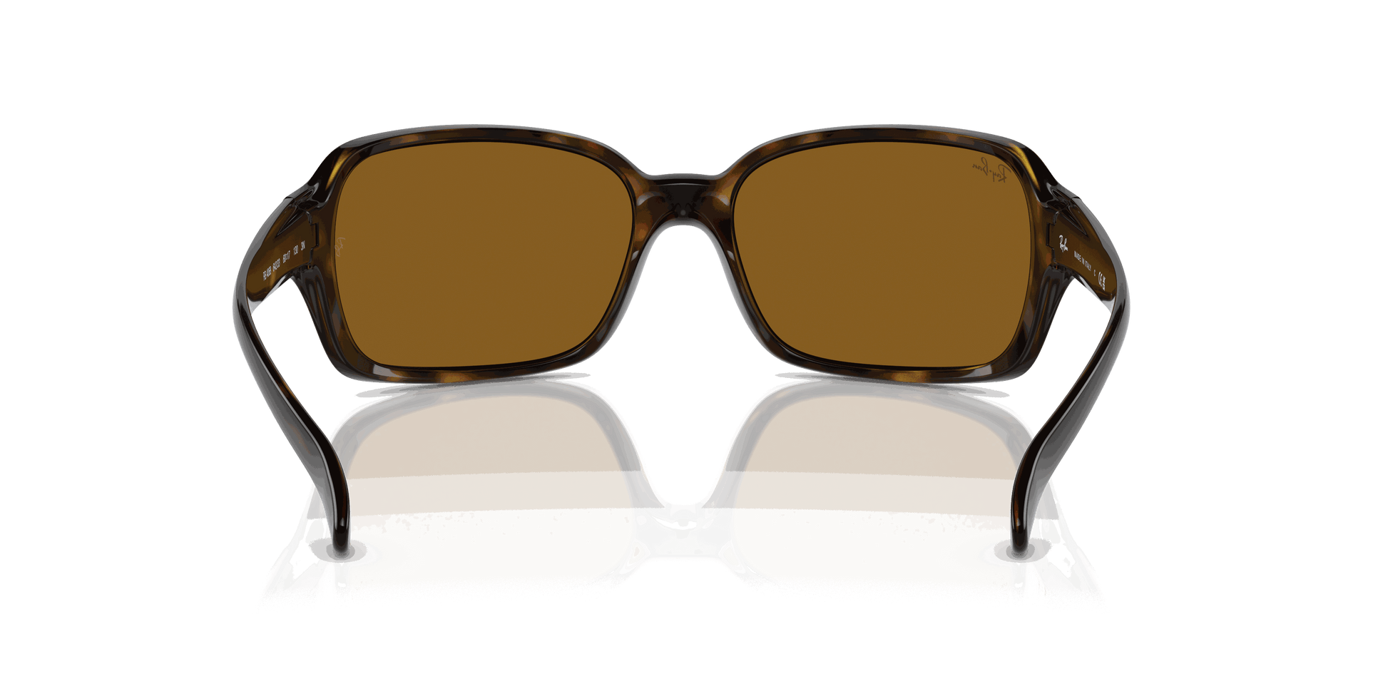 [Brown Lenses, Polished Havana Frame]
