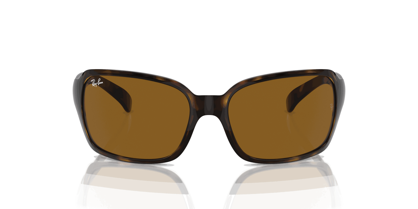 [Brown Lenses, Polished Havana Frame]