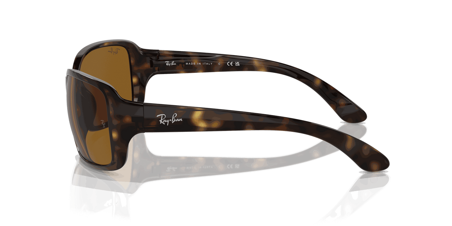 [Brown Lenses, Polished Havana Frame]