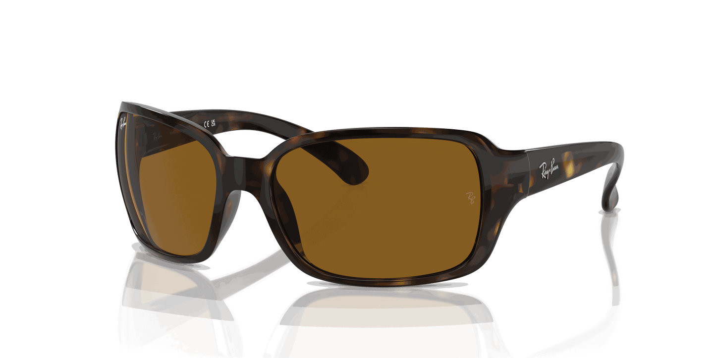 [Brown Lenses, Polished Havana Frame]