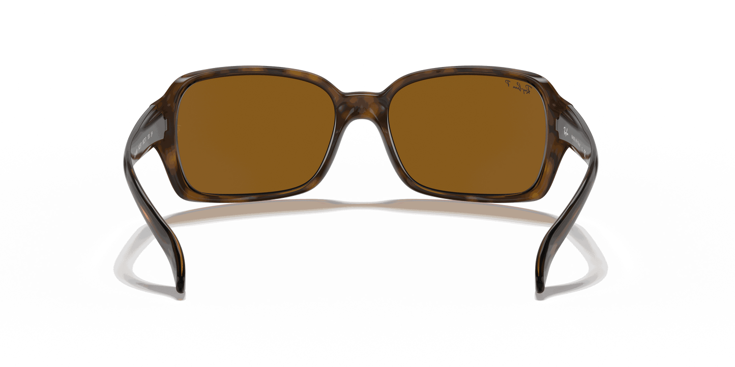 [B-15 Brown Lenses, Polished Havana Frame]