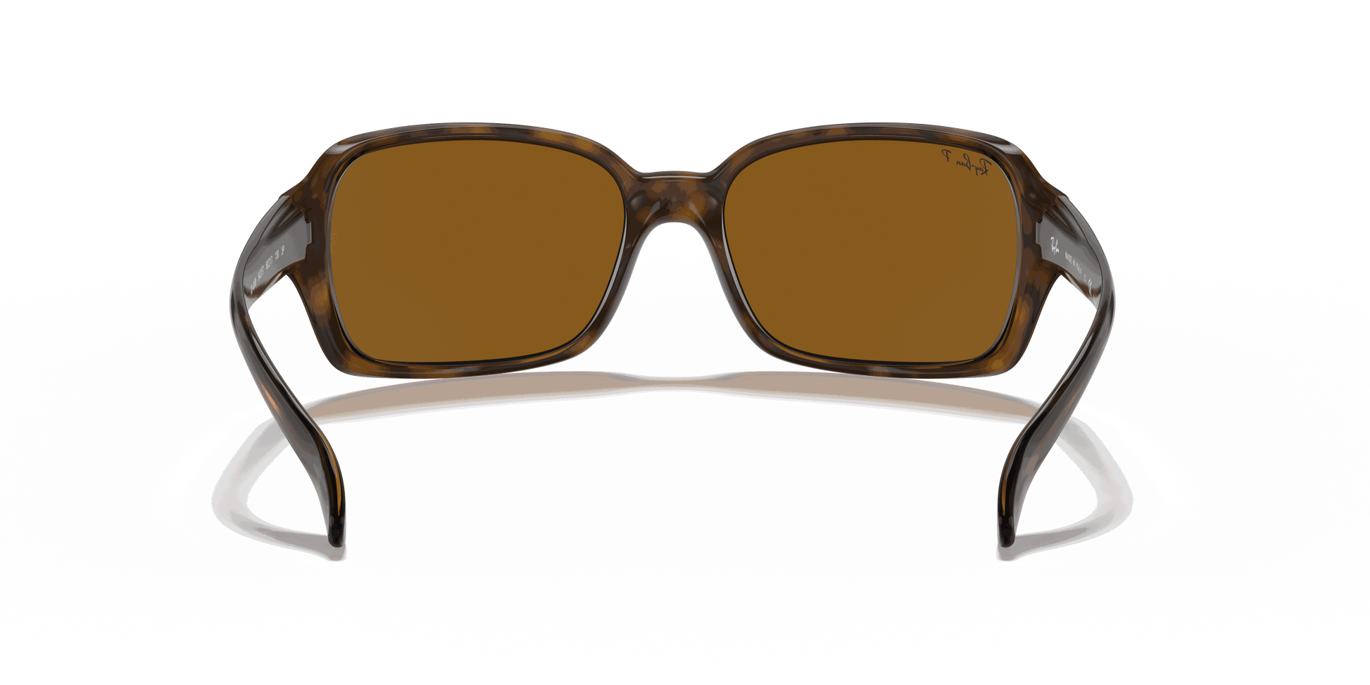 [B-15 Brown Lenses, Polished Havana Frame]