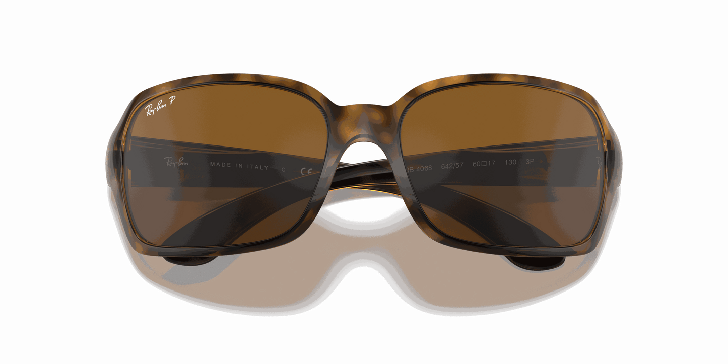 [B-15 Brown Lenses, Polished Havana Frame]