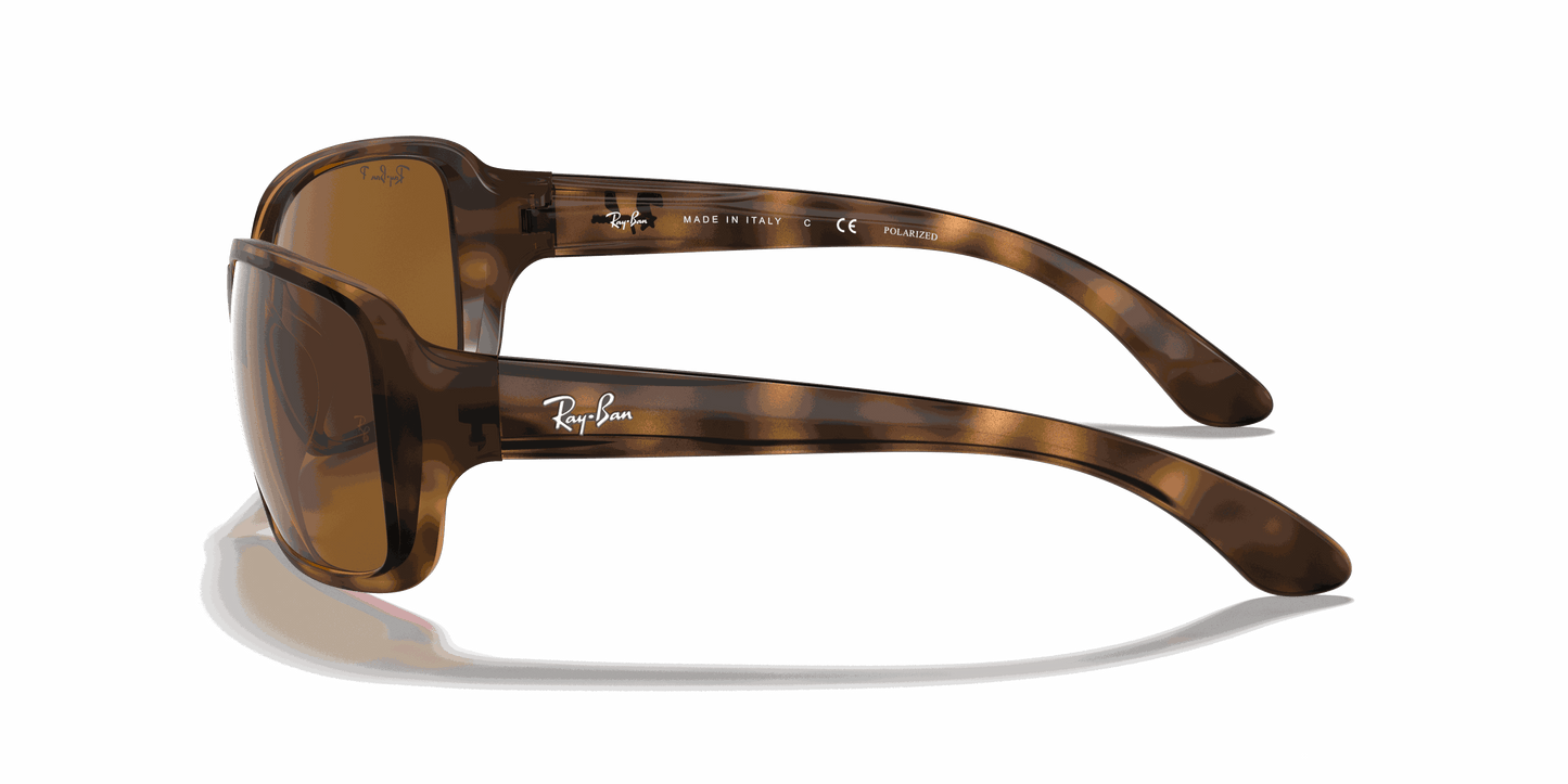 [B-15 Brown Lenses, Polished Havana Frame]