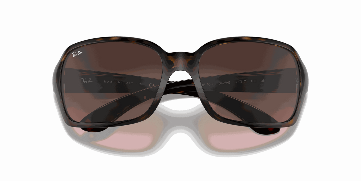 [Pink/Brown Gradient Lenses, Polished Havana Frame]
