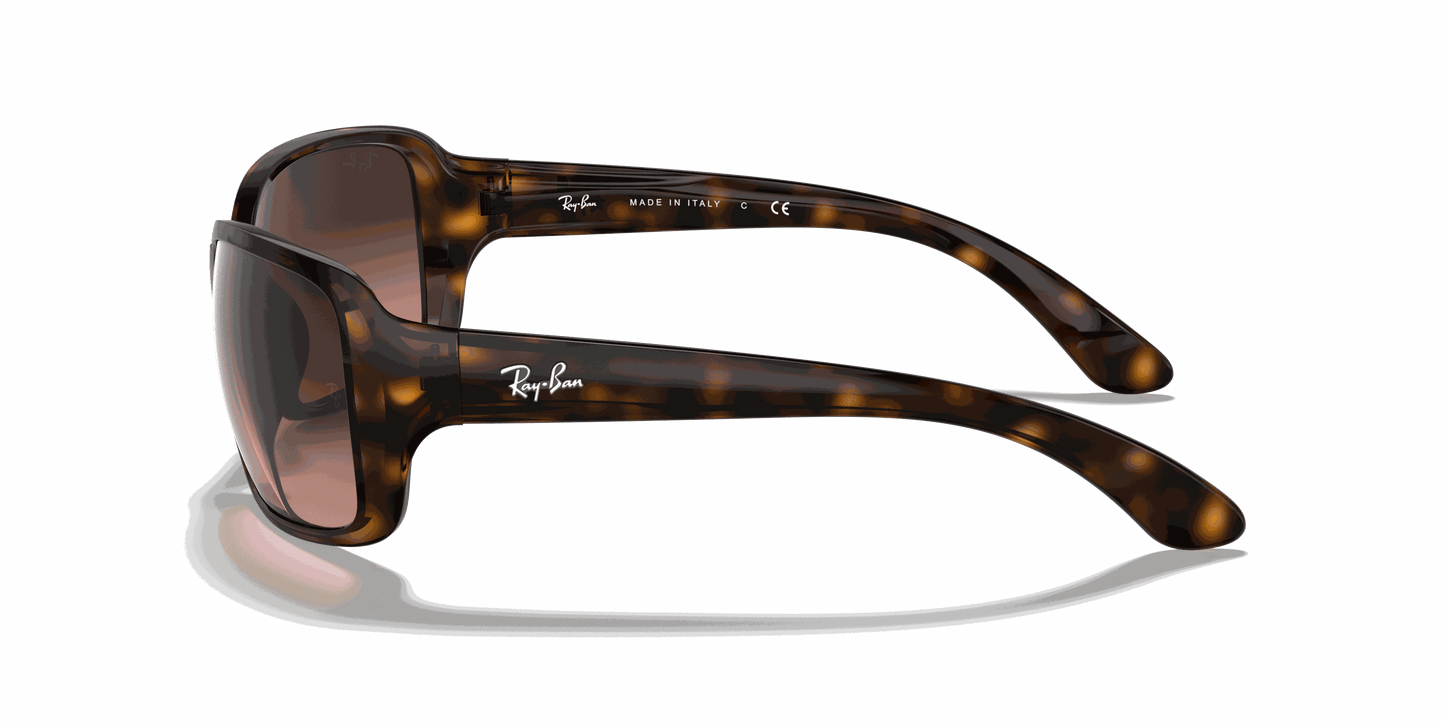 [Pink/Brown Gradient Lenses, Polished Havana Frame]