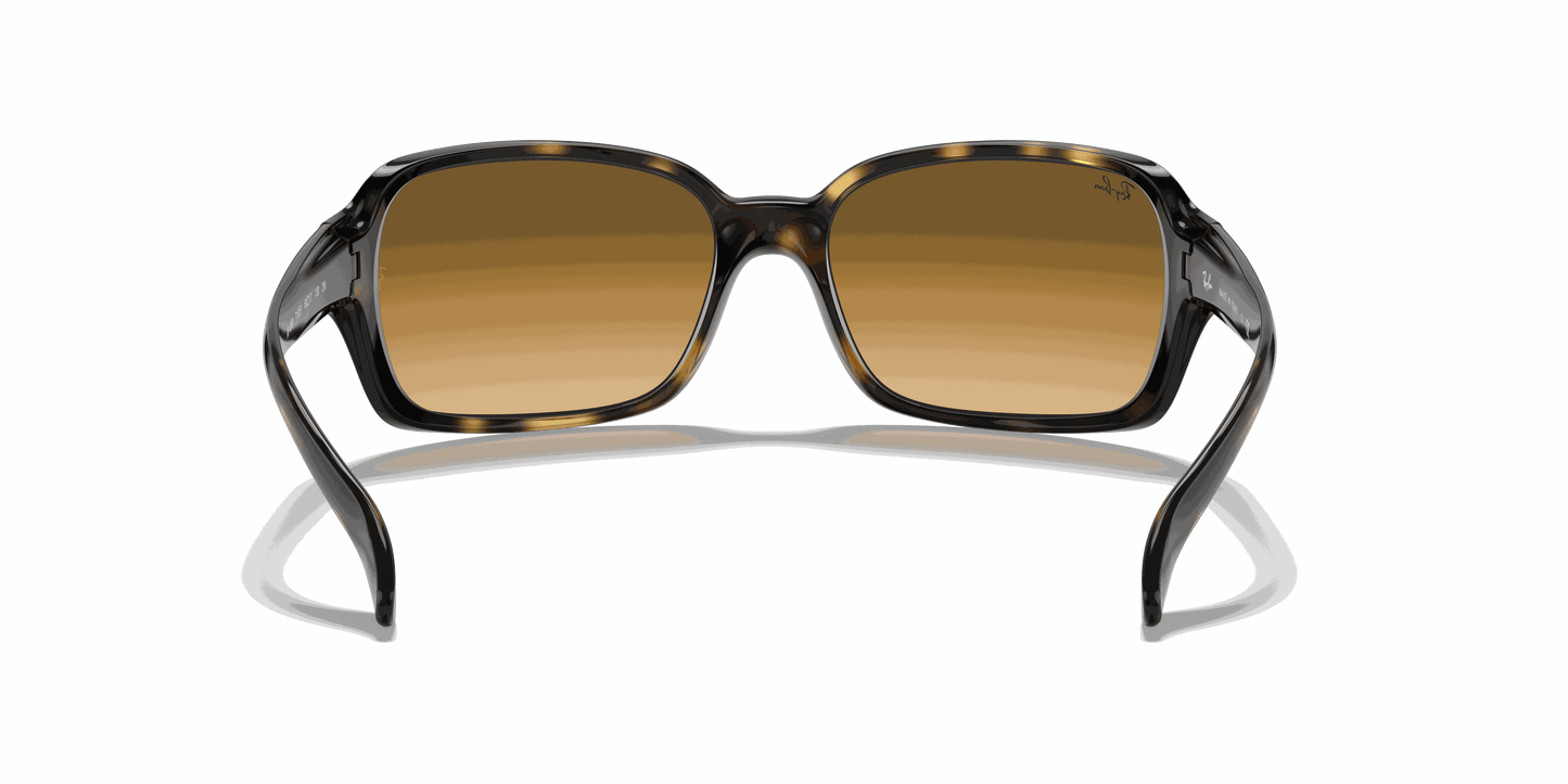 [Light Brown Gradient Lenses, Polished Light Havana Frame]
