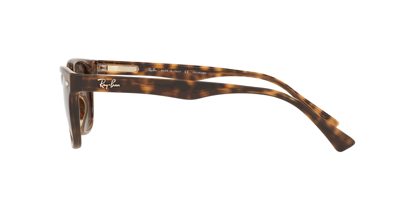 [Green Lenses, Polished Light Havana Frame]