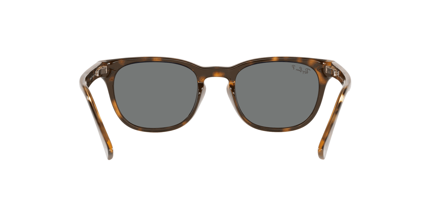 [Green Lenses, Polished Light Havana Frame]