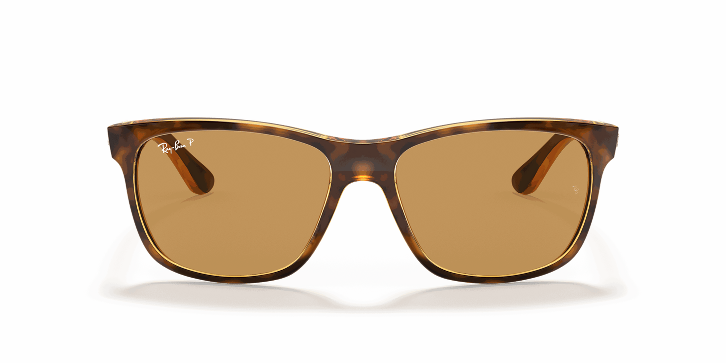 [B-15 Brown Lenses, Polished Light Havana Frame]