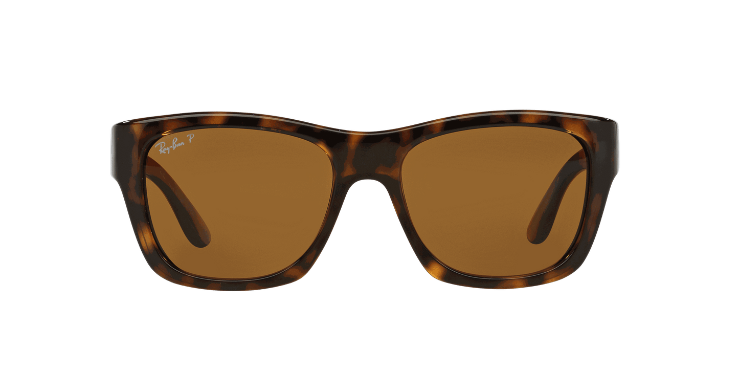[Brown Lenses, Polished Light Havana Frame]