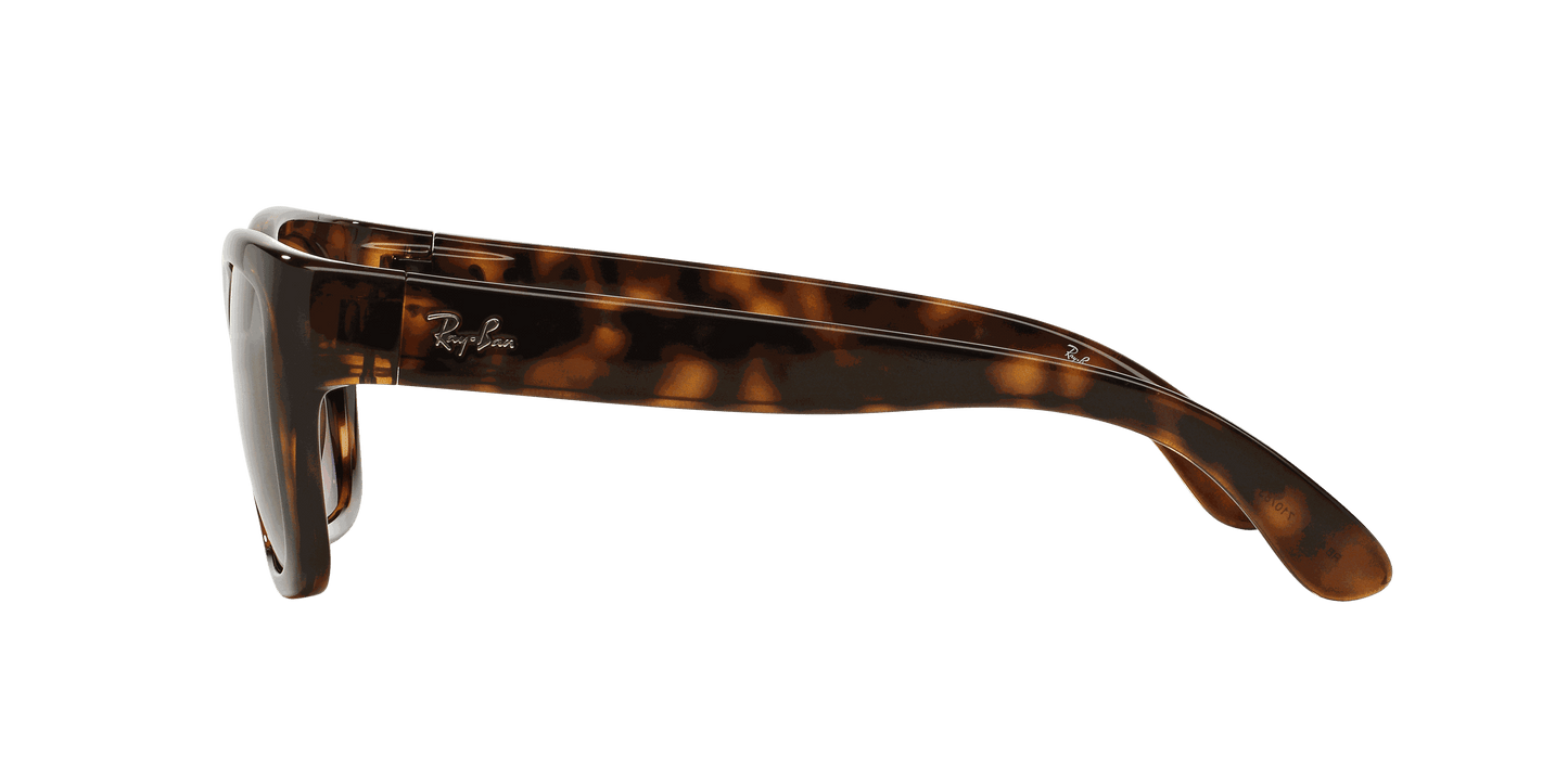 [Brown Lenses, Polished Light Havana Frame]