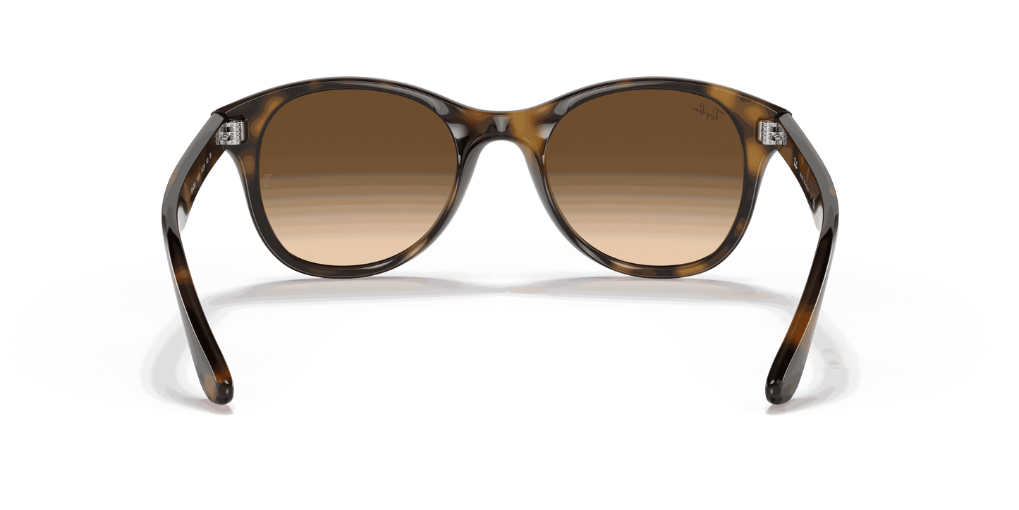 [Brown Gradient Dark Brown Lenses, Polished Light Havana Frame]