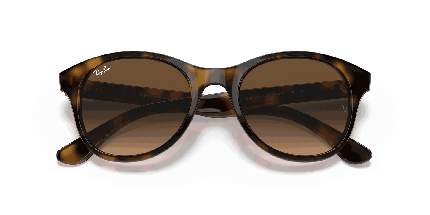 [Brown Gradient Dark Brown Lenses, Polished Light Havana Frame]