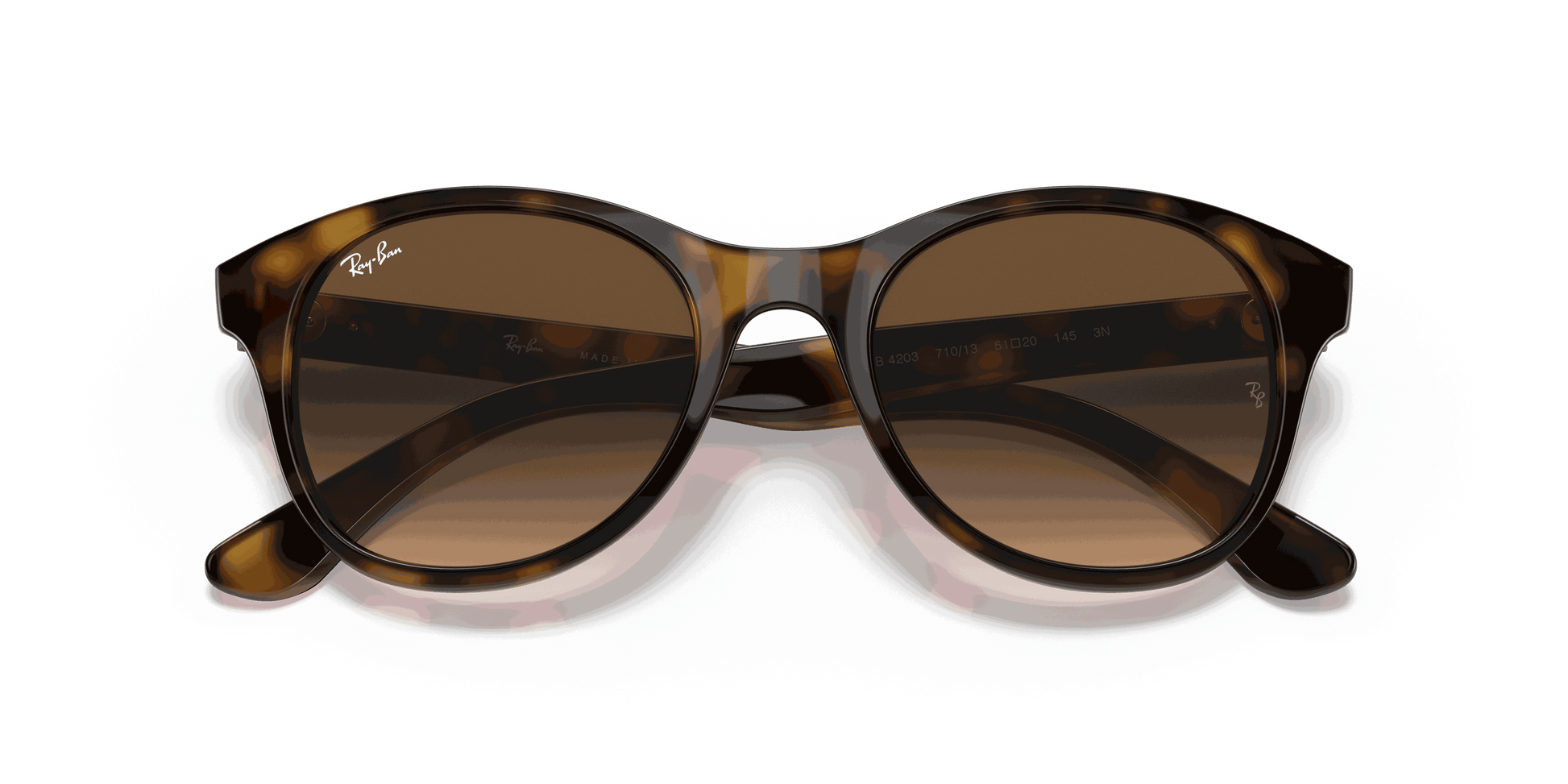 [Brown Gradient Dark Brown Lenses, Polished Light Havana Frame]