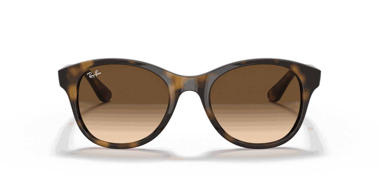 [Brown Gradient Dark Brown Lenses, Polished Light Havana Frame]