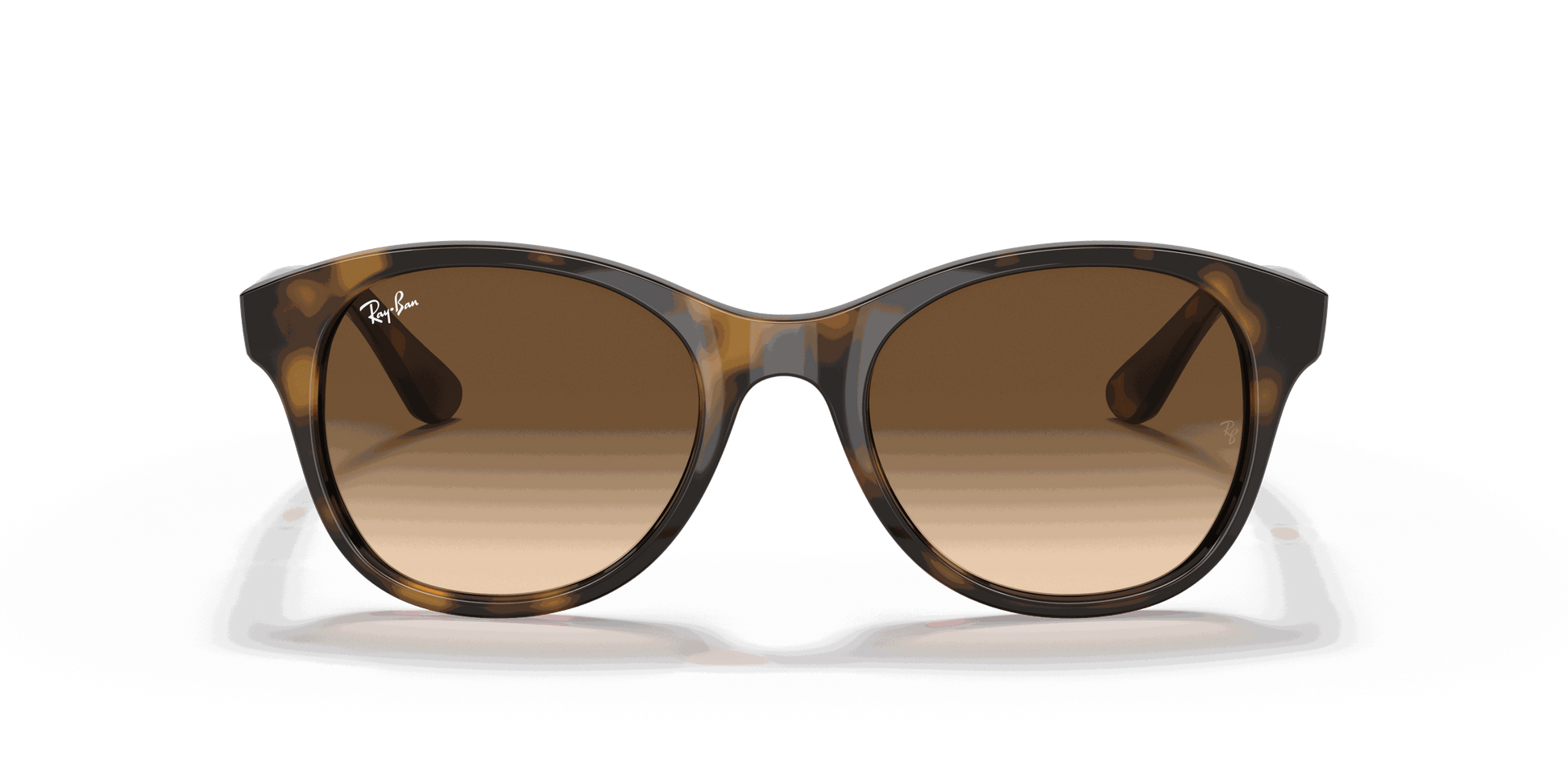 [Brown Gradient Dark Brown Lenses, Polished Light Havana Frame]