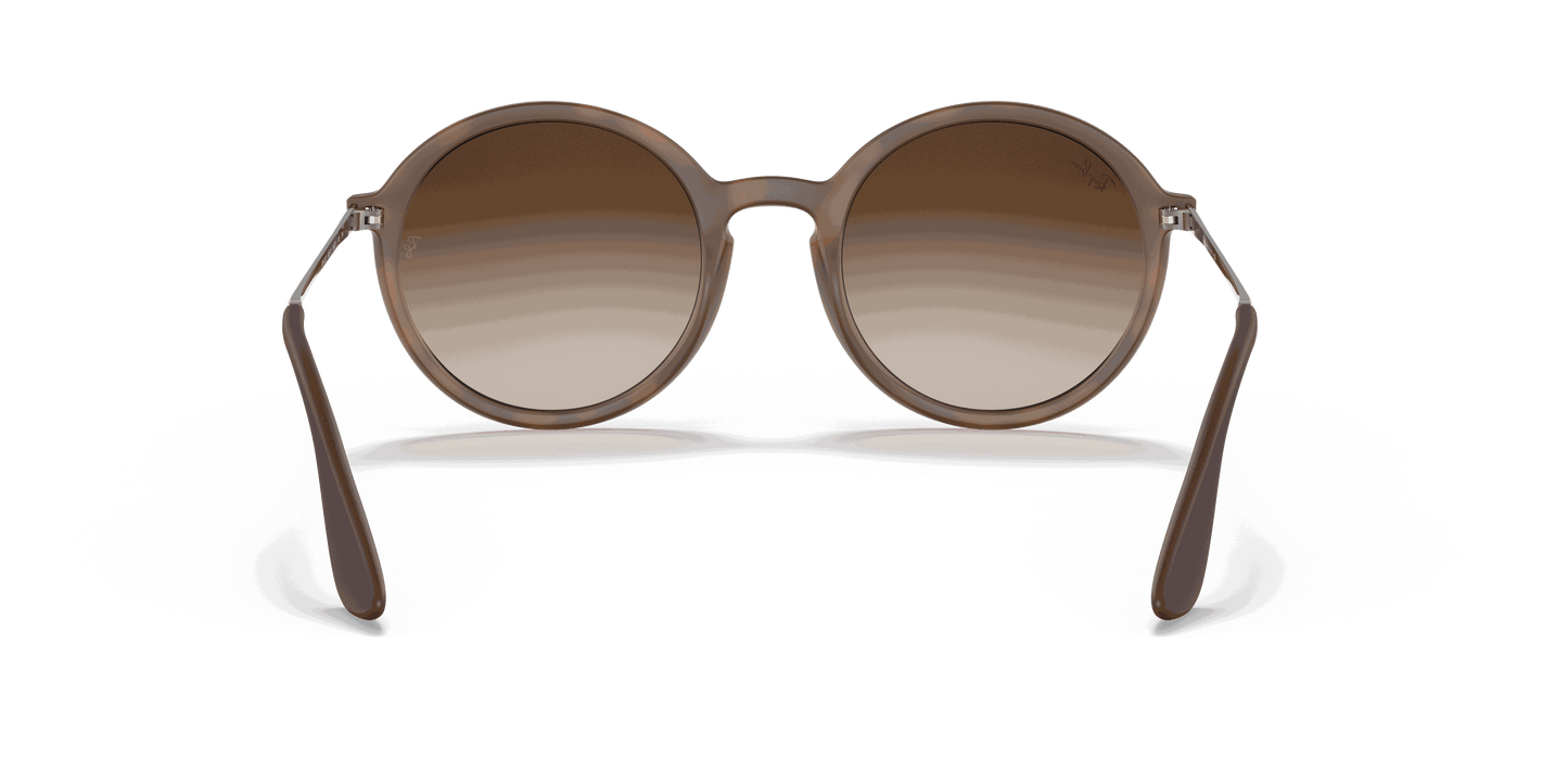 [Brown Gradient Dark Brown Lenses, Matte Havana Frame]