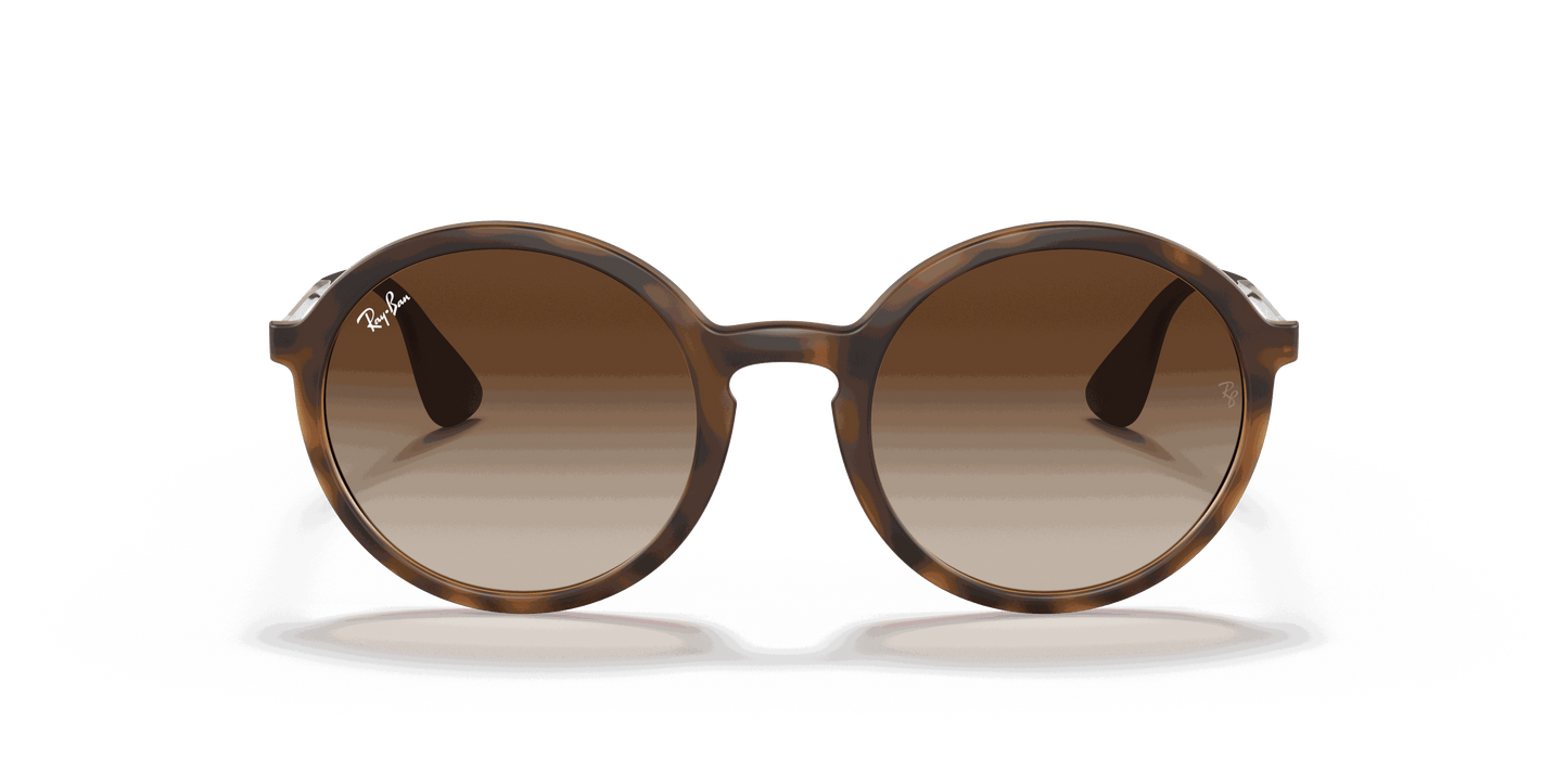 [Brown Gradient Dark Brown Lenses, Matte Havana Frame]