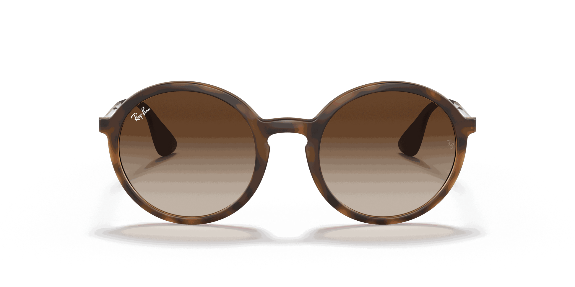 [Brown Gradient Dark Brown Lenses, Matte Havana Frame]