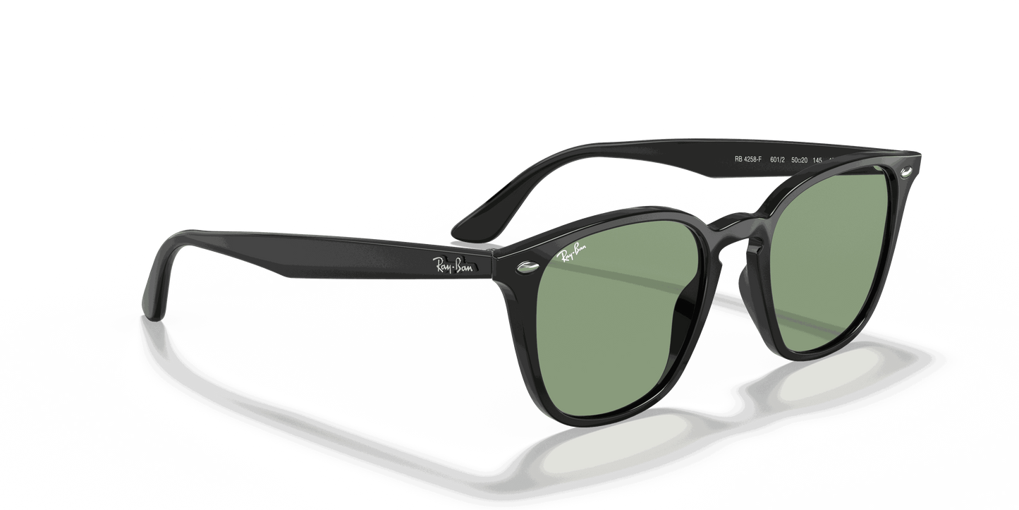 [Light Green Classic Lenses, Polished Black Frame]