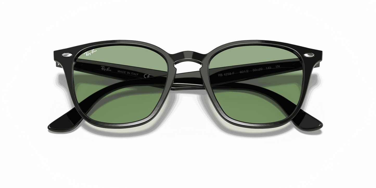 [Light Green Classic Lenses, Polished Black Frame]