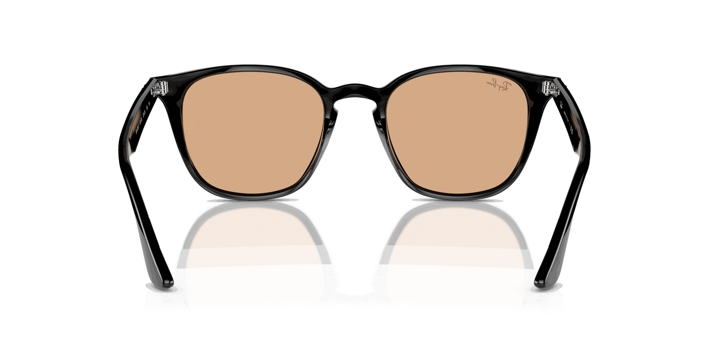 [Brown Lenses, Polished Black Frame]