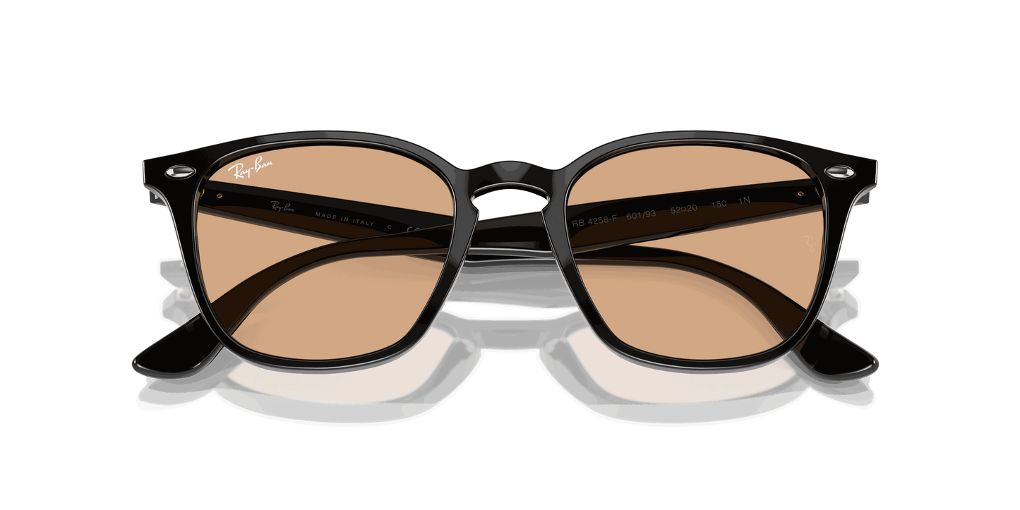 [Brown Lenses, Polished Black Frame]