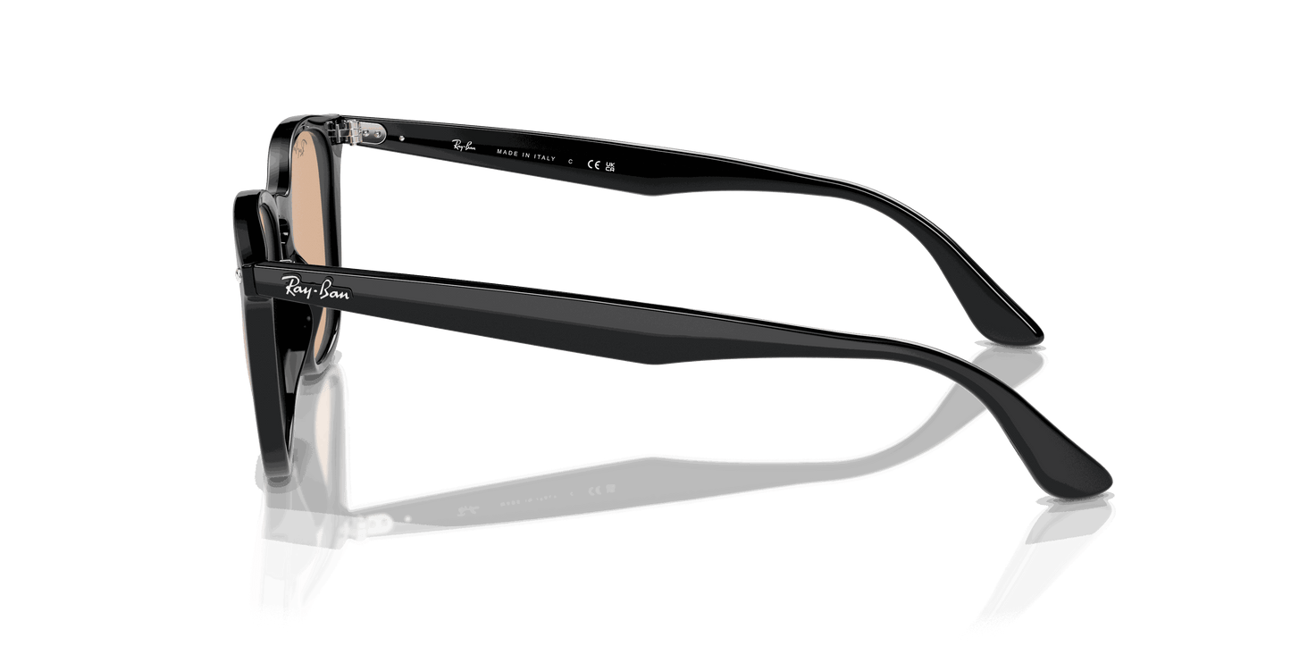 [Brown Lenses, Polished Black Frame]