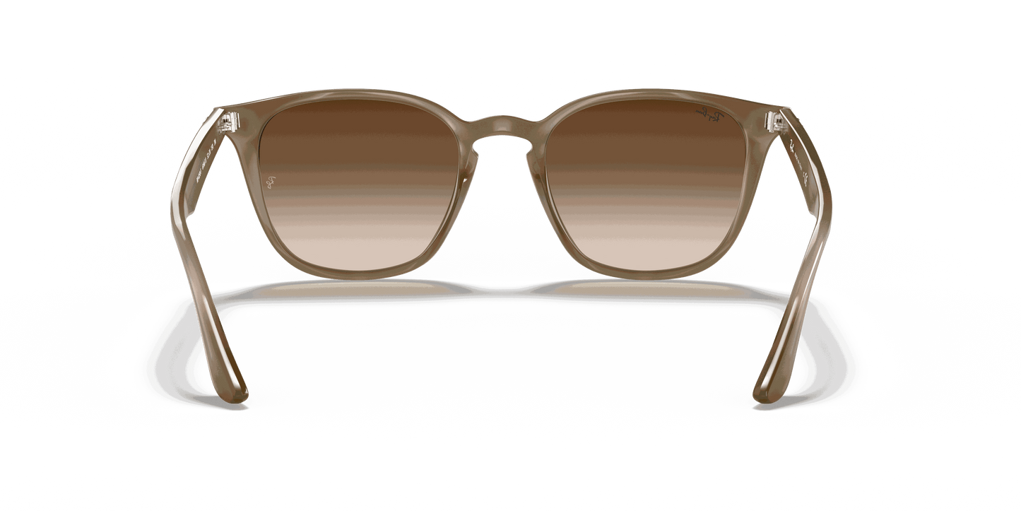 [Brown Gradient Dark Brown Lenses, Polished Beige Frame]