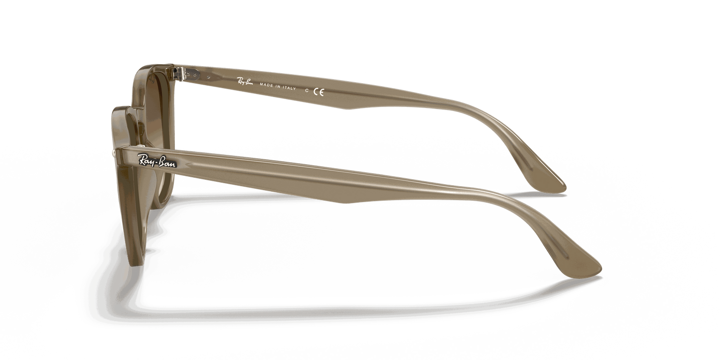[Brown Gradient Dark Brown Lenses, Polished Beige Frame]