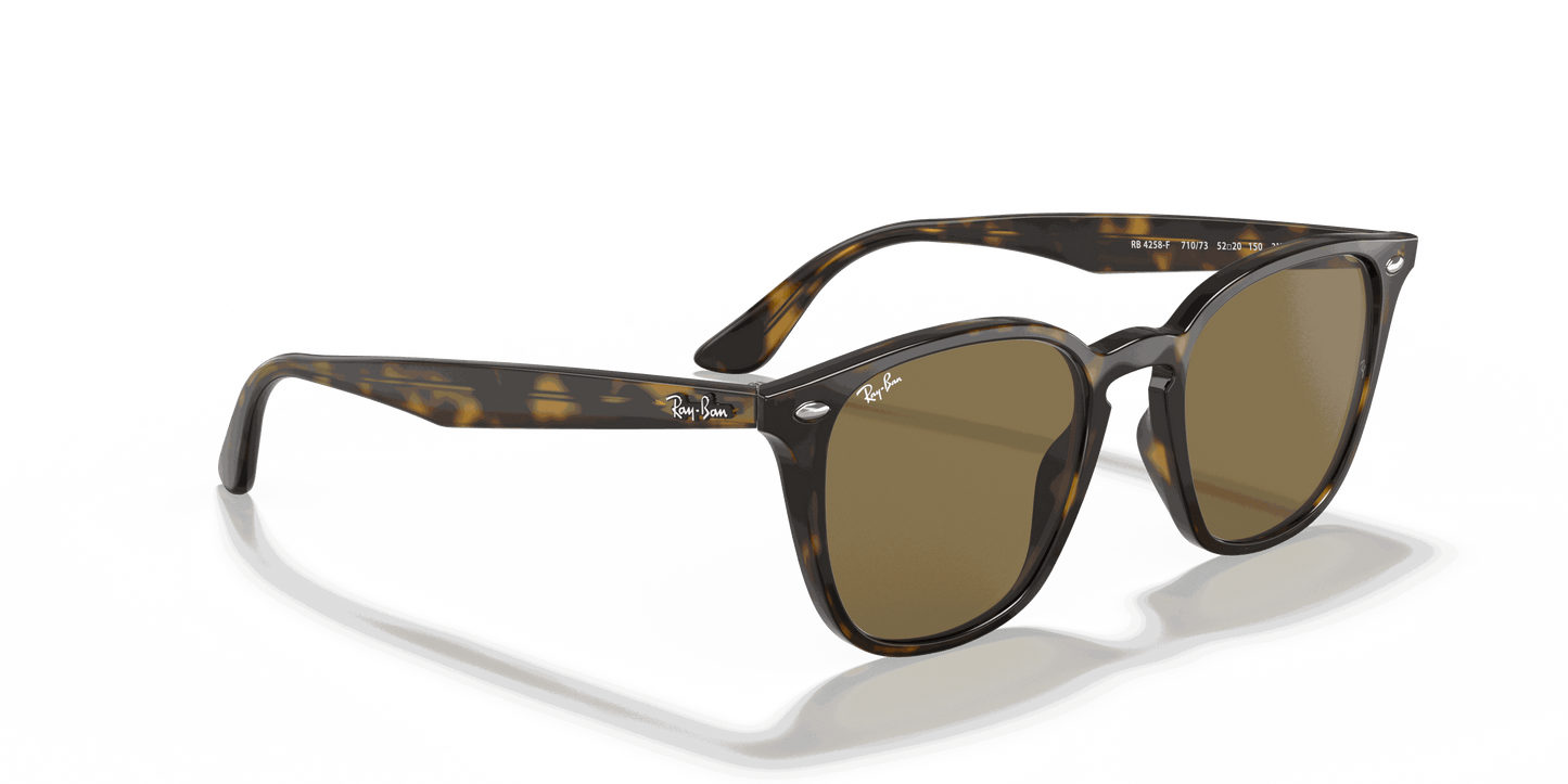 [B-15 Brown Lenses, Polished Light Havana Frame]
