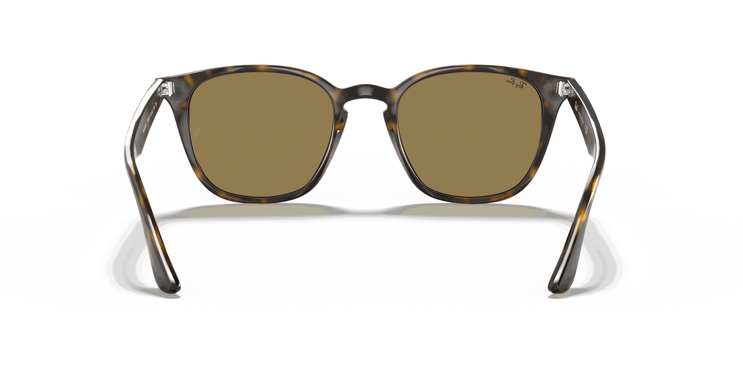 [B-15 Brown Lenses, Polished Light Havana Frame]