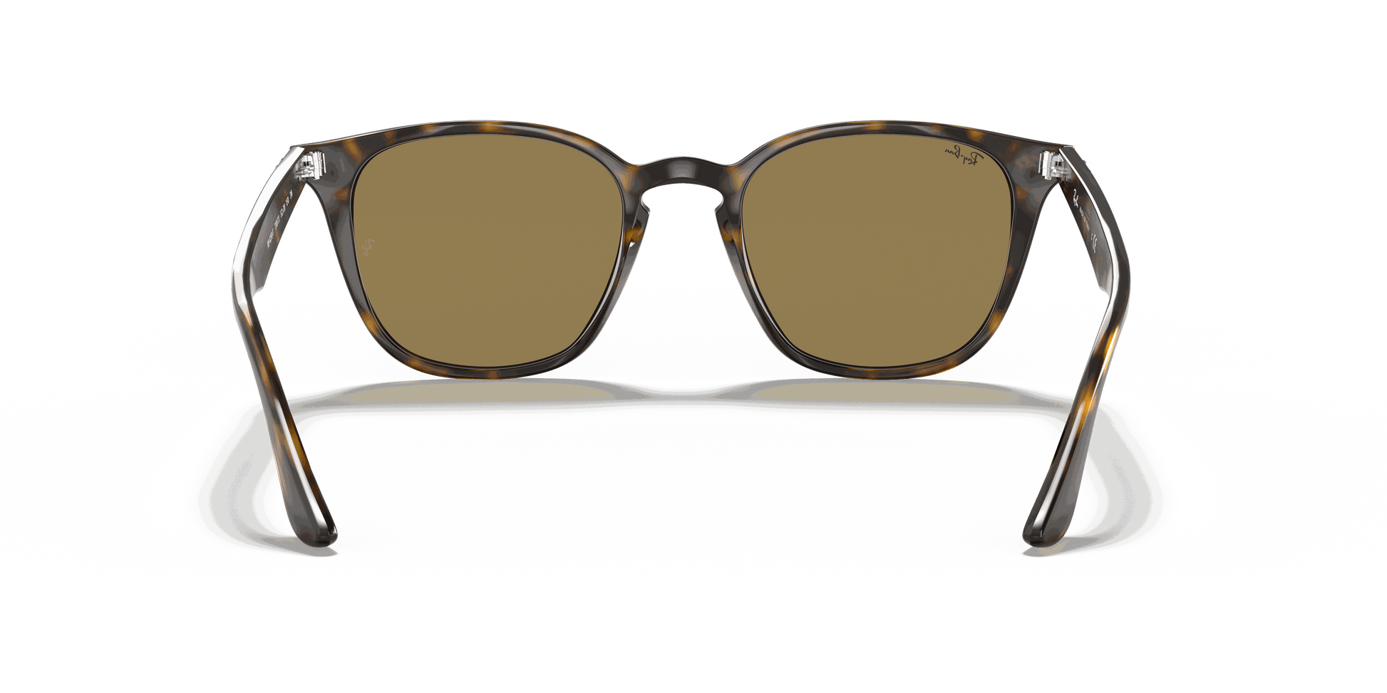 [B-15 Brown Lenses, Polished Light Havana Frame]