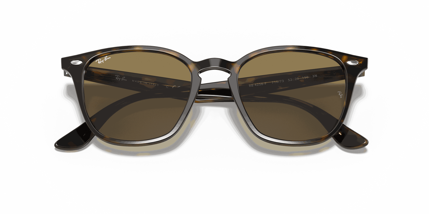 [B-15 Brown Lenses, Polished Light Havana Frame]