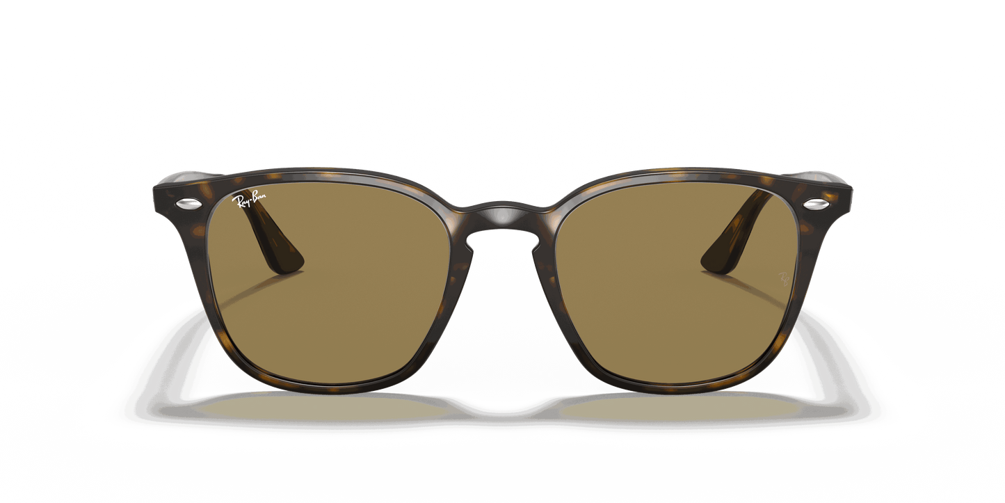 [B-15 Brown Lenses, Polished Light Havana Frame]