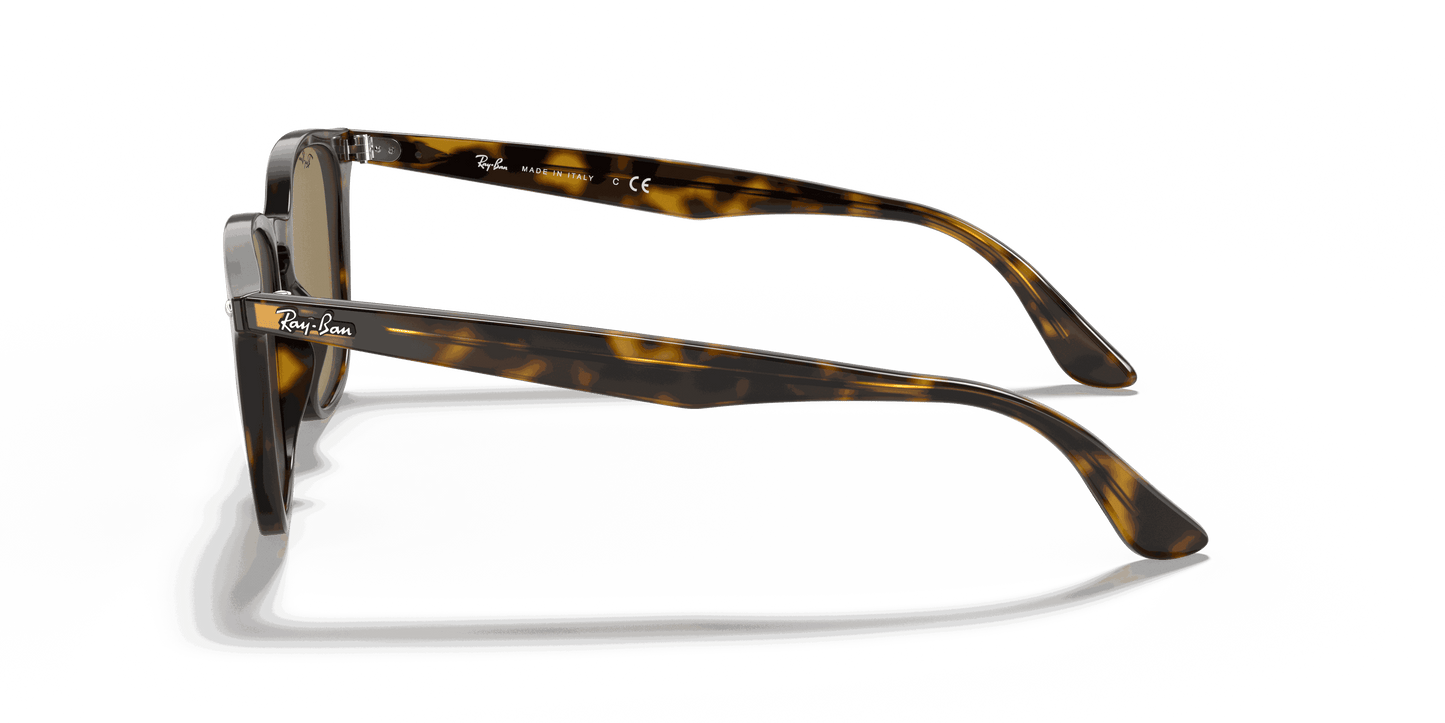 [B-15 Brown Lenses, Polished Light Havana Frame]
